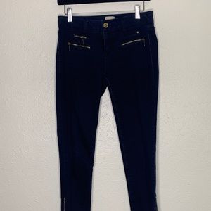 Gianni Bini Denim with gold accents